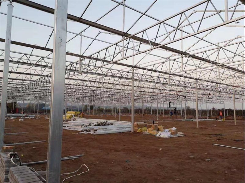 选购指南：如何选择适合的新疆农业科技产品？
