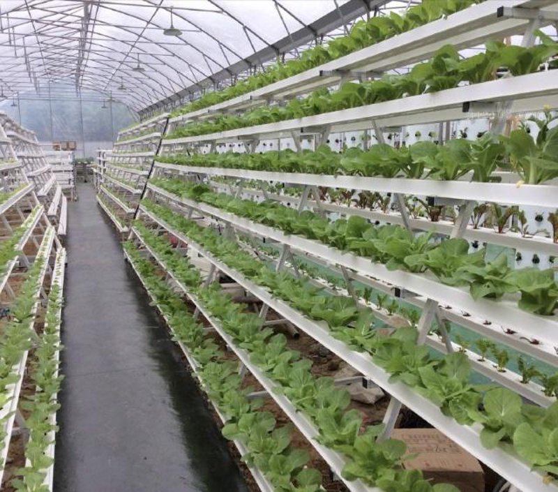 农业物联网选购指南：智慧种植的未来之路