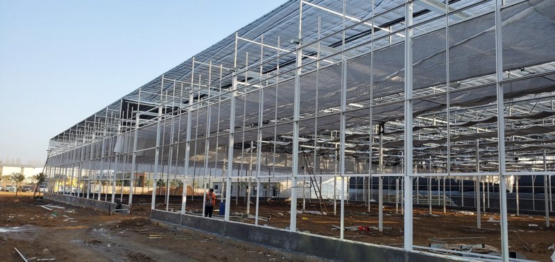 智能温室建设：现代农业的未来风向标