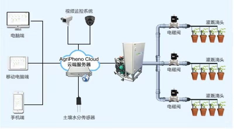 新疆农业科技：开启现代农业新篇章